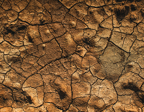 Cracked red earth from above